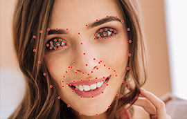 Face keypoint annotation